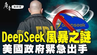 DeepSeek神秘崛起！美國企業坐立難安？美海軍下封殺令。習近平主導發布？川普拉響警報。美國緊急調查，它將改變AI競爭格局？｜#唐青看時事 #唐青看时事