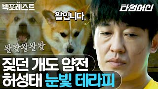 [#빅포레스트] 우리 동네 방범대가 누군지 아니? 중독성 강한 허성태 눈빛 모음