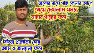 জলের দামে লেবুর গাছ কেনার আগে নিজেই খেয়ে দেখলাম সমস্ত মাদার গাছের ফল এই নার্সারিতে