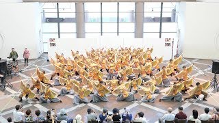 [4K] 大阪市立大学 チーム朱蘭 『溢喜』神戸よさこい 2019 スペースシアター会場