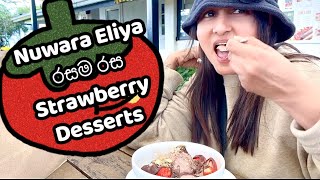 The most delicious Desserts in Nuwara Eliya