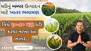 ઘઉંનું બમ્પર ઉત્પાદન લેવા મટે ખાતર ભલામણ | ખાતર વ્યવસ્થાપન | ૬૦ - ૭૦ મણ ઘઉં કરવા ખાતર ભલામણ | wheat