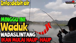 MANCING NILA WADASLINTANG// LUAR BIASA IKAN GAK ADA HABISNYA