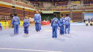 李峰賓~2017全球洪門國際武術文化節 越武道開幕表演