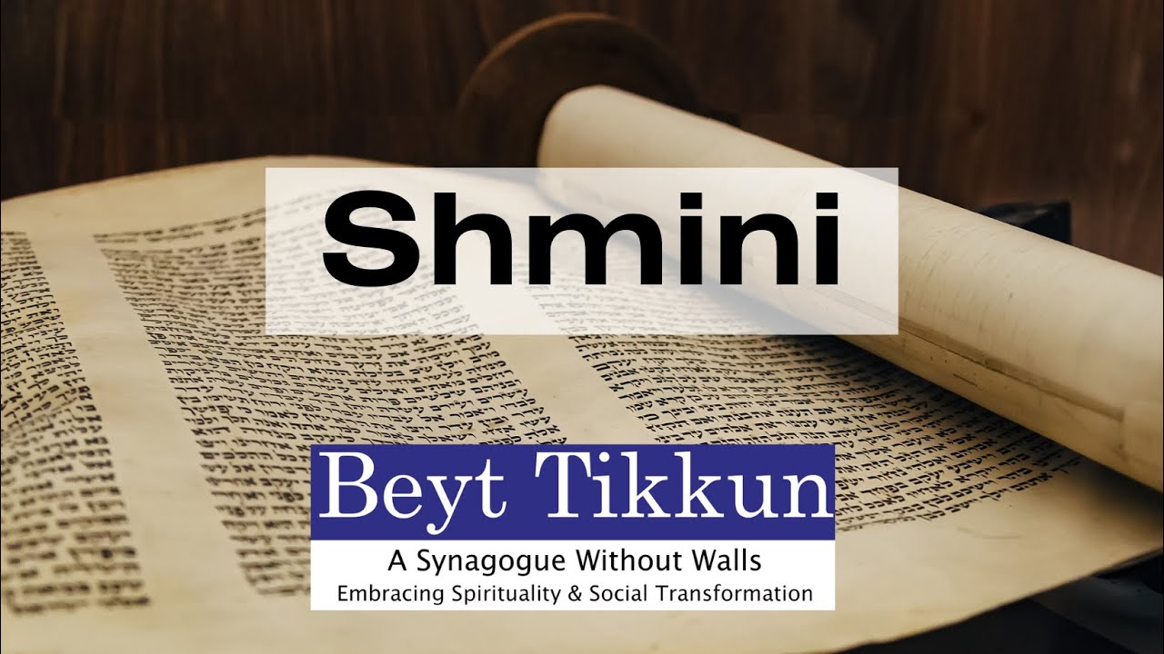Torah Study Parsha Shmini 5784 Youtube