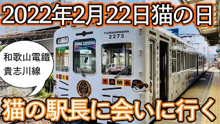 たま神社宮司就任！【和歌山⇆貴志】ニタマ駅長に会いに行く（猫の駅長）