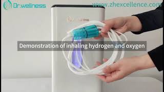 Dr.wellness Clinical Hydrogen Inhaler 600mL YL-600