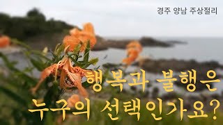 【좋은 글과 명상 60】 소나무(광우) 스님의 숭늉처럼 '속 편한' 이야기 가시를 거두세요中에서, 경주 양남 주상절리┃당신을 위한 힐링 여행┃잠 못 이루는 밤을 위해┃마음 부자