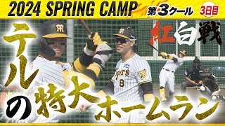 【阪神キャンプ】今年のテル！先頭打者特大ホームラン！！