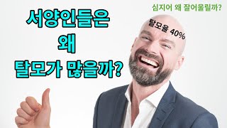 서양인은 왜 대머리가 많을까? |서양인이 동양인에 비해 탈모가 많은 이유