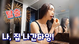 격리 해제? 🏡드디어 집에서 탈출했어요 🍀힐링 찾아 삼만리 (feat with 윌라)