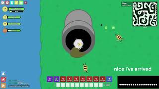 Florr io Early Game Guide Levels 11–25 (Outdated)