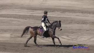 150XC Kristen Joly on Vice Commander Preliminary Rider Cross Country Galway Downs November 2016