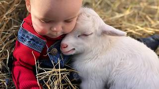 Adorable Baby & Animal Moments You Must See!😍 Cute Animal and Human Videos 2025