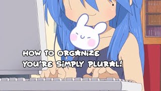 Organization with using Simply Plural!