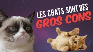 9 preuves que les chats sont des GROS CONS (qui nous veulent du mal)