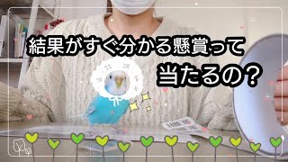 【懸賞】その場で結果が分かる懸賞に予算内で散財してみた…/懸賞予算と今週の食費