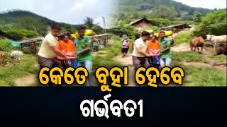 କେତେ ବୁହା ହେବେ ଗର୍ଭବତୀ | Odisha Reporter