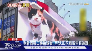 到新宿東口快抬頭看! 巨型3D花貓廣告超逼真｜TVBS新聞