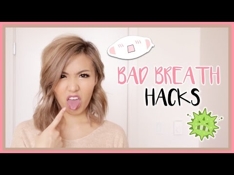 BAD BREATH LIFE HACKS | ilikeweylie BAD BREATH LIFE HACKS | ilikeweylie