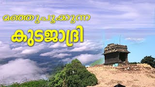 kudajadri trip I മഞ്ഞു പൂക്കുന്ന കുടജാദ്രി l MOOKAMBIKA TRIP I