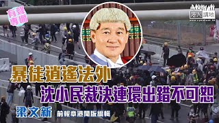 【短片】【有聲專欄】梁文新：暴徒逍遙法外 沈小民裁決連環出錯不可恕