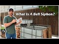 What Is A Bell Siphon