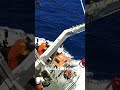 Beautiful view at Sea !!! Lifeboat lowering ...#shorts#short#shortvideo