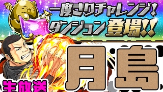 一度きりチャレンジ初見挑戦生放送！【生パズドラ】