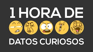 1 HORA DE DATOS CURIOSOS! (XPRESSTV)