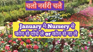 जनवरी में नर्सरी से कोन से पोधे लाये or  कोन से ना लाये / chalo Nursery chale /