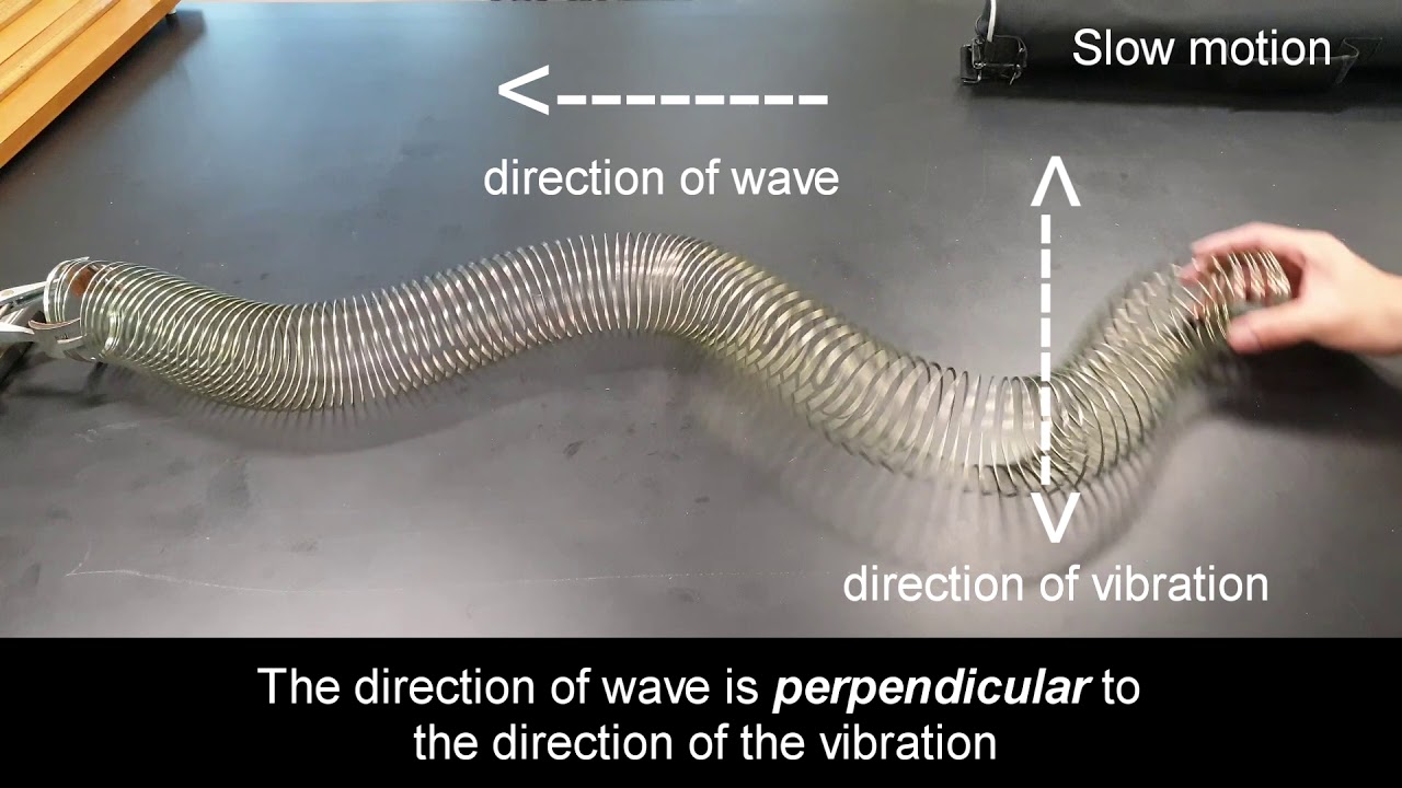Using Slinky Coil To Demonstrate Transverse And Longitudinal Waves