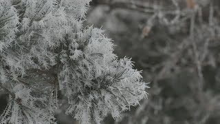 Minnesotans Share Images Of Beautiful Rime Ice