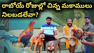 #Godavari_Cocks_Sitaram Gari  #Part-2 @interview #CpTeam