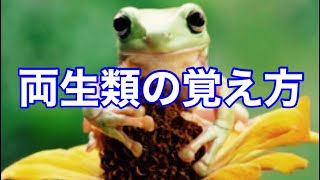 両生類の覚え方