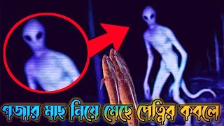 গজার মাছ নিয়ে যাবার সময় ভুতের কবলে পড়লাম । সরাসরি লাইভ ভিডিও তে । Most Horror Video