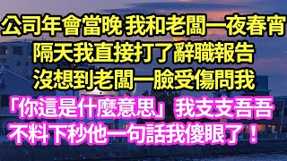 公司年會當晚 我和老闆一夜春宵，隔天我直接打了辭職報告，沒想到老闆一臉受傷問我「你這是什麼意思」我支支吾吾，不料下秒他一句話我傻眼了！#甜寵#小說#霸總