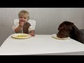 funniest baby and dog duo ever