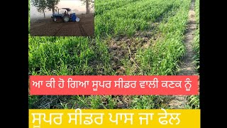 Super seeder pass jaa fail ਦੇਖੋ ਸੂਪਰ ਸੀਡਰ ਪਾਸ ਕੇ ਫੈਲ