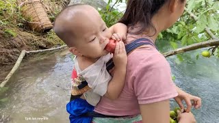 小聪明跟着怀孕的妈妈，上山摘野果赚钱维持生计，看着太气人了