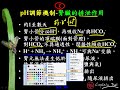 10602高三選修生物ch8 3 11酸鹼恆定機制 腎臟的排泄三捷