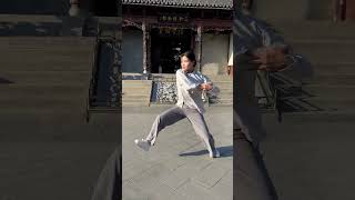 TaiChi SanShou #kungfu #china #sports #wushu #taichi #shortsvideo #taijiquan #shorts