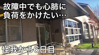 故障中でランニングできない中で心肺に負荷をかける方法【結論:プール】【怪我から6日目】【マラソン】【vlog】