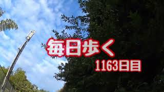 毎日歩く：1163日目