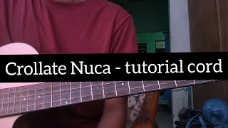 Tutorial cord Nuca Crollate