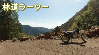 トリッカーで春の林道をラーツーしてきた