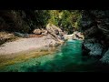 olde irish harp music with a gentle stream ☘️