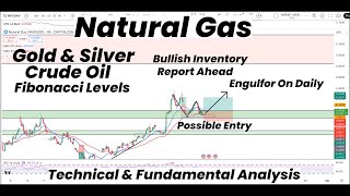 Natural Gas Possible Entry | Bullish Report Ahead | Gold | Silver | Crude Oil Fib Levels | Forecast