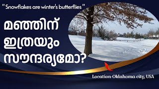 മനോഹരമായ ഒരു മഞ്ഞുവീഴ്ച Amazing snowfall