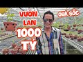 Danh Hài Bảo Chung tham quan vườn lan 1000 Tỷ (Vườn Lan Nhật Phan) - Ai xem cũng không thể tin nổi